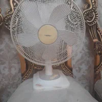 پنکه  سانی