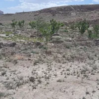 فروش زمین کشاورزی روستا