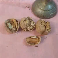 گردوی درشت وپرچرب لواسون بامغزه خوب|خوردنی و آشامیدنی|تهران, تهرانپارس غربی|دیوار