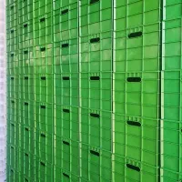 سبد جعبه گالن بشکه|عمده‌فروشی|شیراز, گل سرخ|دیوار