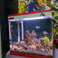 آکواریوم دلسا k320