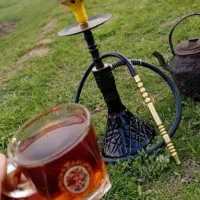 فصل بهشت طالقان