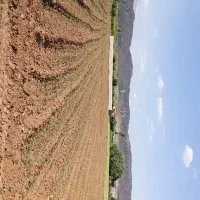 زمین کشاورزی دشتروم تنگاری ریواسی ۱۱۴۹۶ متر|فروش زمین و ملک کلنگی|یاسوج, |دیوار