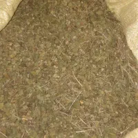 اویشن تازه قیمت مناسب