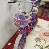 دوچرخه|دوچرخه، اسکیت، اسکوتر|مراغه, |دیوار