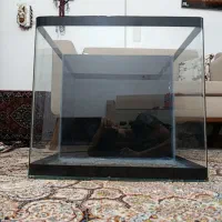 آکواریوم شیشه خام|ماهی|سنندج, |دیوار
