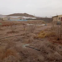 زمین-گلخانه-در-شهرک-گلخانه