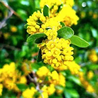 s24 ultra 256 12G vi