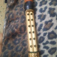 پوست و دسته نی همبون|سازهای بادی|اهواز, اهواز|دیوار