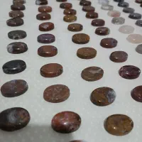 سنگ شجر پاییزی