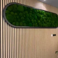 دکوراسیون.فروش.|مصالح و تجهیزات ساختمان|دزفول, |دیوار