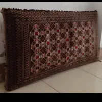 یک جفت مختطع پشتی