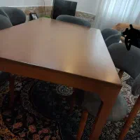 میز ناهار خوری 6 نفره|میز و صندلی غذاخوری|گرگان, |دیوار