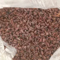 کشمش آفتابی|خوردنی و آشامیدنی|کرمانشاه, |دیوار