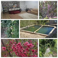 فروش یا معاوضه خانه باغ در روستای غربالبیز|فروش خانه و ویلا|مهریز, |دیوار