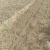 شخم زدن زمین زعفران با تیلر|خدمات باغبانی و درختکاری|سبزوار, قصبه شرقی|دیوار