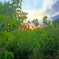 363متر جابان (دماوند)+انشعابات