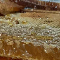عسل طبیعی، با ضمانت صد در صد طبیعی|خوردنی و آشامیدنی|تهران, شهرک غرب|دیوار