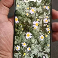 اپل iPhone 16 Pro با حافظهٔ ۲۵۶ باطری ۱۰۰