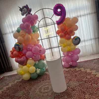 بادکنک آرایی رقص نور طاق افتتاحیه هلیوم ابشارسردDj|خدمات پذیرایی، مراسم|رفسنجان, |دیوار