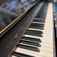 پیانو دیجیتال YAMAHA P225|پیانو، کیبورد، آکاردئون|شیراز, ابیوردی|دیوار