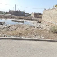 این-زمین-سرحانیه-دو-تجاری