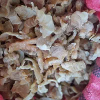 کتیرا برای فروش