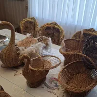 سبد تزئینی میوه