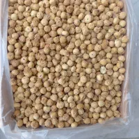 فروش عمده انجیر برای صادرات و داخل|خوردنی و آشامیدنی|استهبان, |دیوار