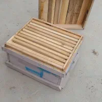 کندوی زنبور نو