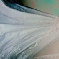 لباس عروس.چندمدل لباس مجلسی|لباس|گلبهار, شهر جدید گلبهار|دیوار