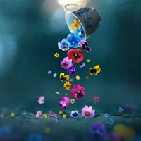 آقای  هستم کار با نظافت  منزل  و محل کار و با