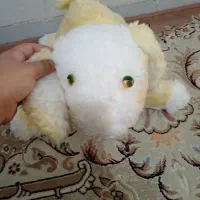 تعدادی عروسک|اسباببازی بچه|پاکدشت, پاکدشت (مامازند)|دیوار