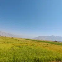 اجاره نقدی ۱۰ هکتار با چاه برقی و استخر