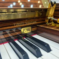 فروش عمده و تکی پیانو|پیانو، کیبورد، آکاردئون|صدرا-فارس, فاز ۱|دیوار