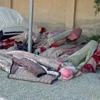 فرش ماشینی|فرش|اسلام‌شهر, شهرک واوان|دیوار