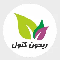 صندوقدار خانم