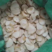 موسیر کوهی فریدن|خوردنی و آشامیدنی|اصفهان, آفاران|دیوار