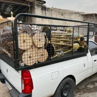 اباژور چوبی|چراغ خواب و آباژور|آفتاب, |دیوار