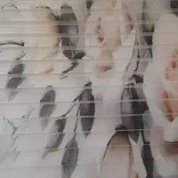 پرده زبرا ۱ در ۲ متر|پرده، رانر، رومیزی|آبیک, |دیوار