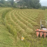 دستگاه دروگرتارو