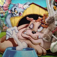 فرش تام و جری