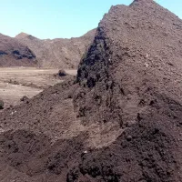فروش کمپوست برای بسته بندی خاک گلدان و نشا