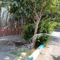 هرس درختان کاشت کودهی واکاری|خدمات باغبانی و درختکاری|تهران, سبلان (لشگر)|دیوار