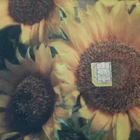 فروش سیم کارت همراه اول