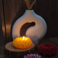 گلهای داوودی