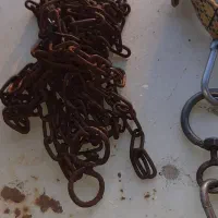 قلاده چرمی وزنجیر قدیمی|لوازم جانبی حیوانات|قزوین, |دیوار