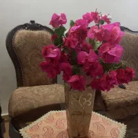 مبلمان ۹ نفره.میزناهارخوری ۸ نفره.ویترین|مبلمان خانگی و میز عسلی|بابلسر, |دیوار