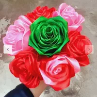 محمدی|گل و گیاه طبیعی|زهک, |دیوار