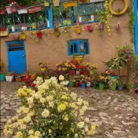 آقاهستم تمیزکاری منزل ،،سمپاشی،، خوردکاری بنایی